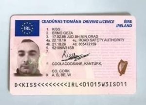 Irish Driving licence