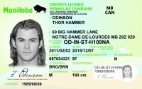 (ON) Ontario Drivers License – Scannable Fake ID