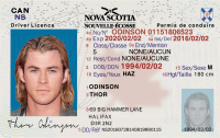 Nova Scotia Driver's License