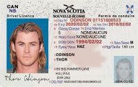 (SK) Saskatchewan Drivers License – Scannable Fake ID