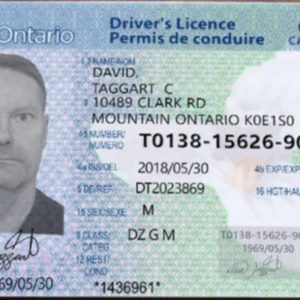 Ontario Drivers License